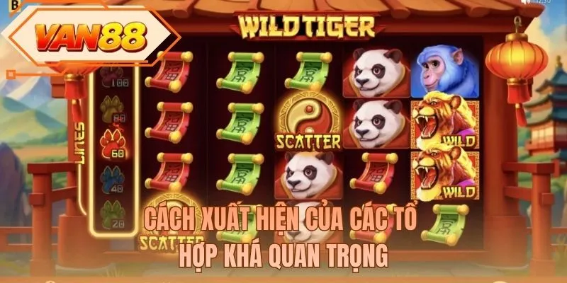 Cách xuất hiện của các tổ hợp khá quan trọng