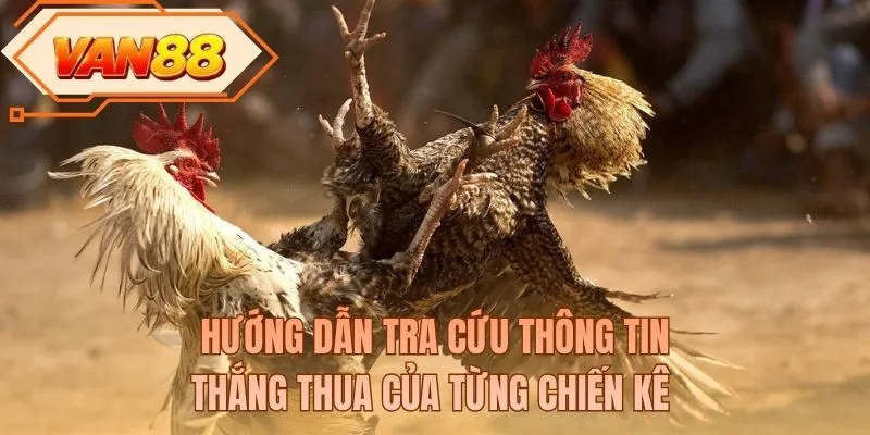 Hướng dẫn tra cứu thông tin thắng thua của từng chiến kê