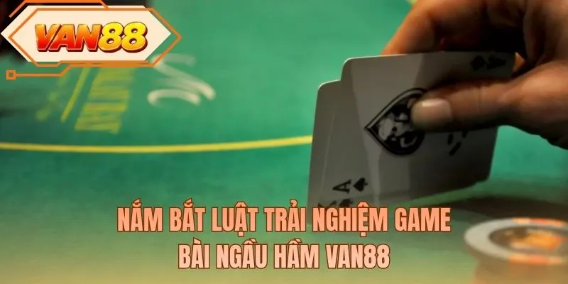 Nắm bắt luật trải nghiệm game bài ngầu hầm VAN88