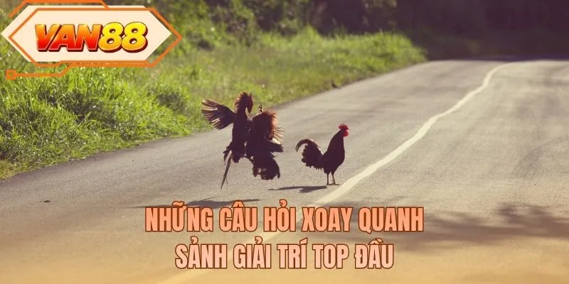 Những câu hỏi xoay quanh sảnh giải trí top đầu