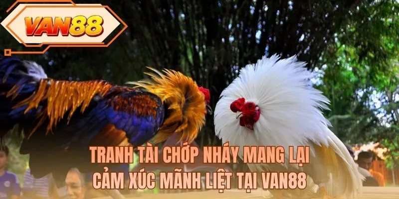 Tranh tài chớp nháy mang lại cảm xúc mãnh liệt tại VAN88